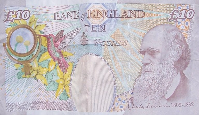 Darwin's Face On British Pond